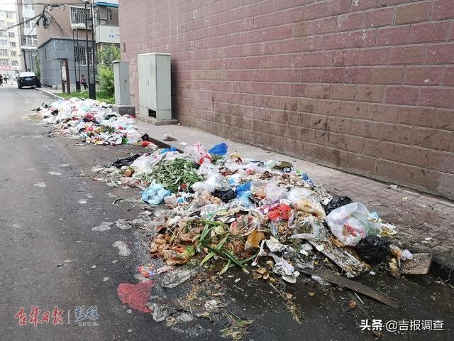 康泰乐园小区垃圾成堆,长春市康达鸿泰小区垃圾成堆