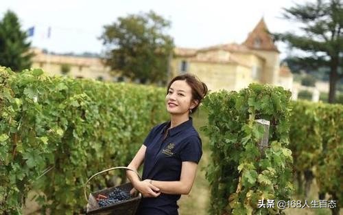 赵薇华尔街之狼,赵薇逆转人生之路