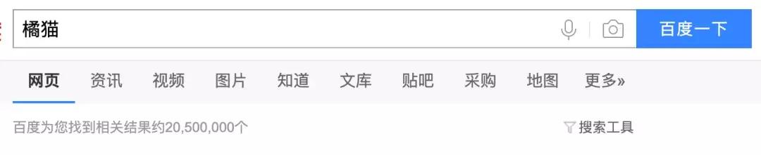 推荐养橘猫的6大原因,自从养了猫才知道它是那么粘人
