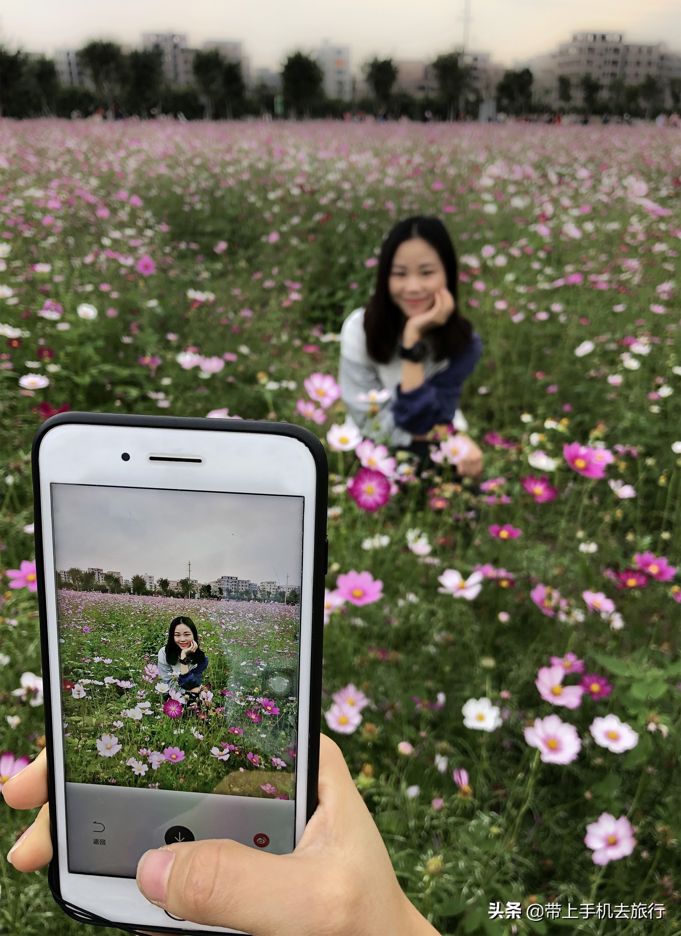 手机摄影聚焦技巧,手机摄影视频怎么聚焦