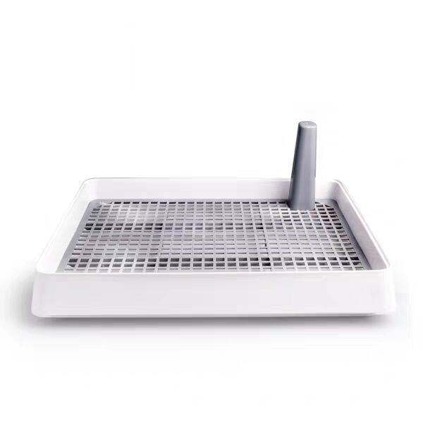 养狗前需要准备些什么！灵茉文章