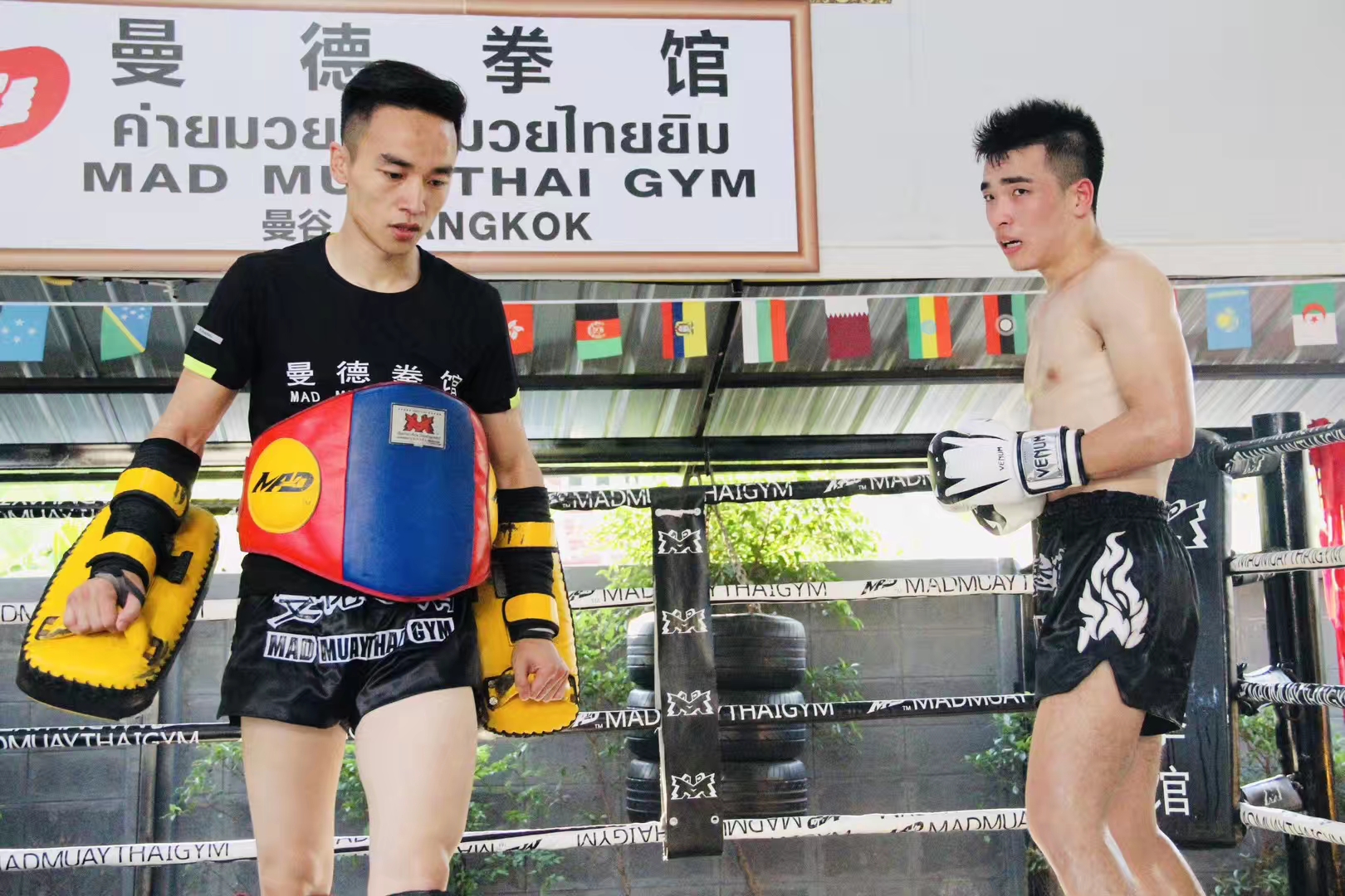 中国人在泰国开拳馆,在泰国开拳馆中国人