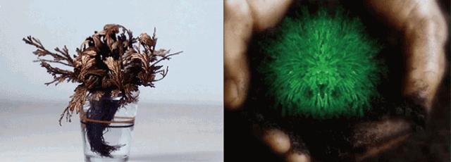 护肤水乳清爽防过敏大牌,护肤保湿水乳平价推荐女生