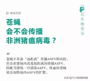 苍蝇会不会把非洲猪瘟传给猪?
