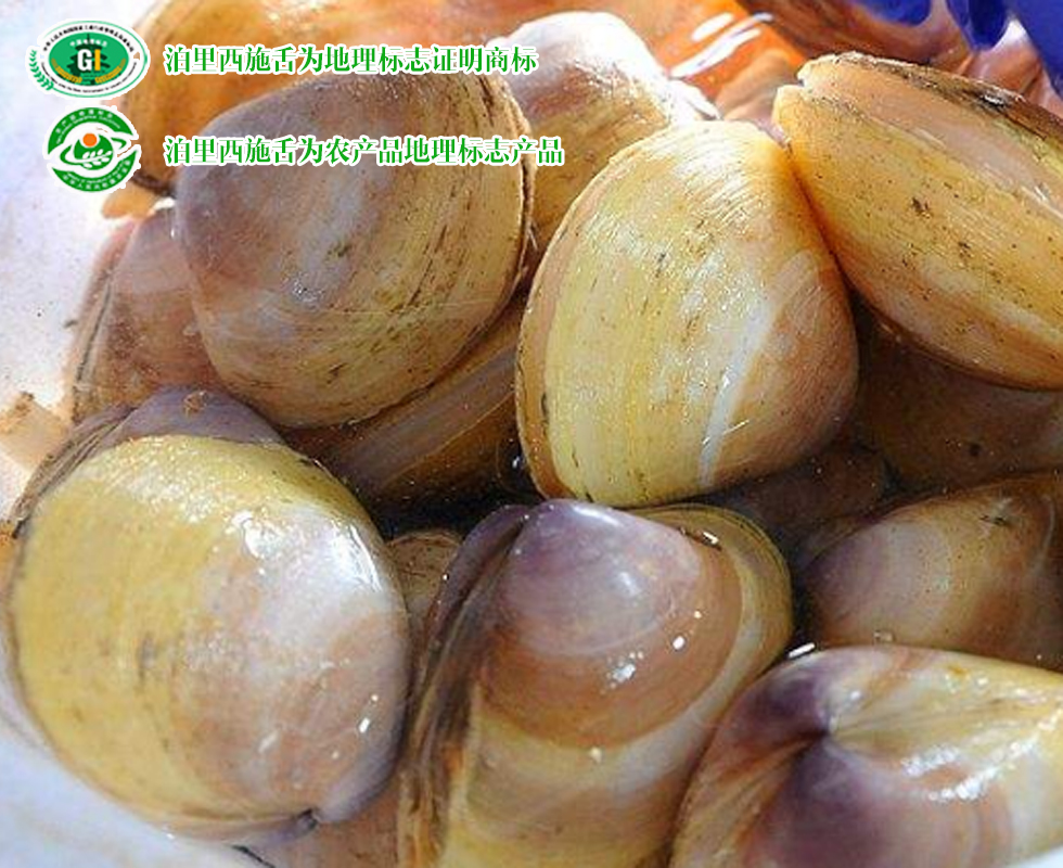 青岛特产十二道海味,青岛特产必买清单排行榜第一名