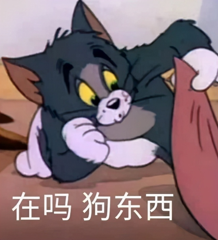 唯美怼人必备100张表情包,怼人表情包图片100张