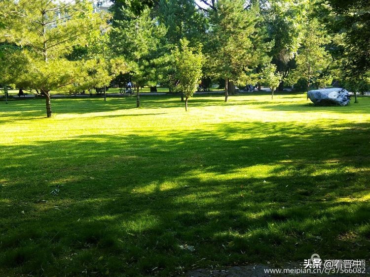 山西农大美丽的校园,山西农大校园风光