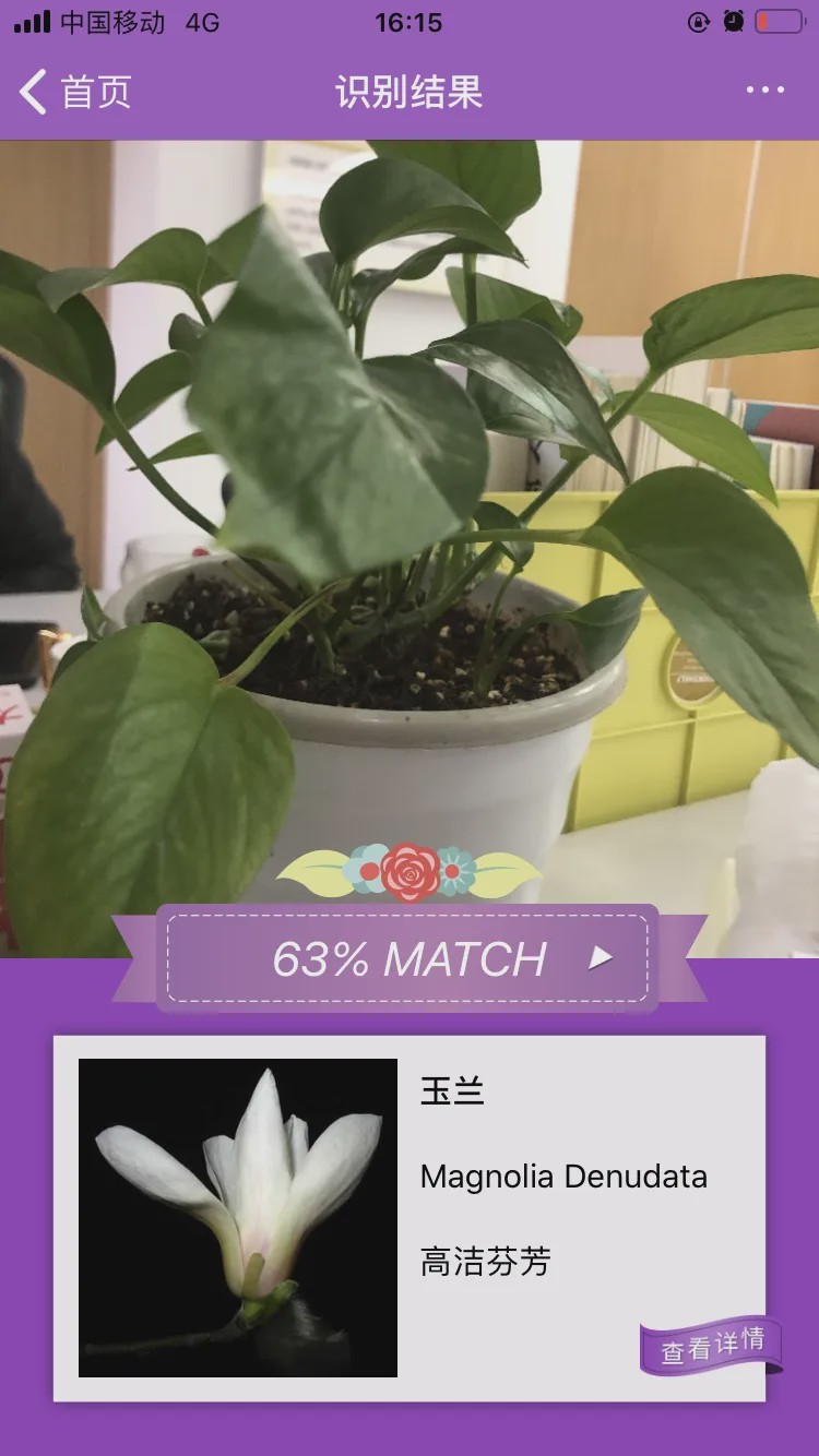 哪个识花软件最好用,识花app免费的哪个好