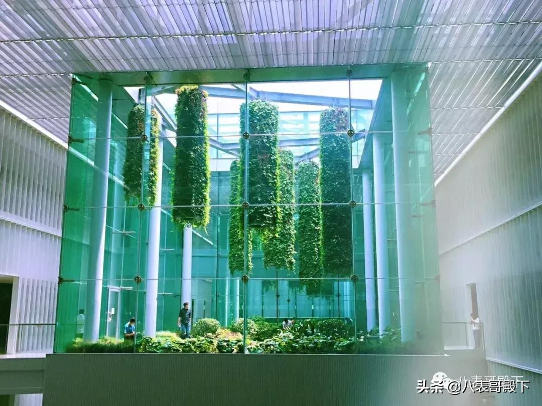 天堂就像图书馆,天堂就是图书馆的模样图片