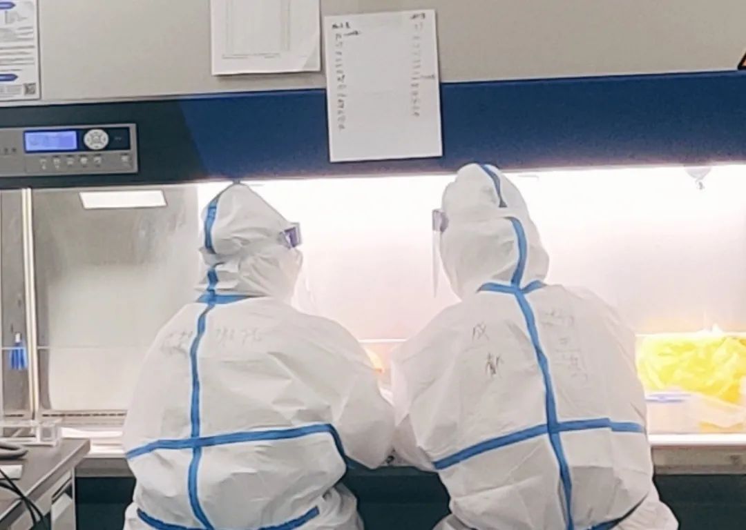 博奥晶典认证,博奥晶典耳聋基因检测