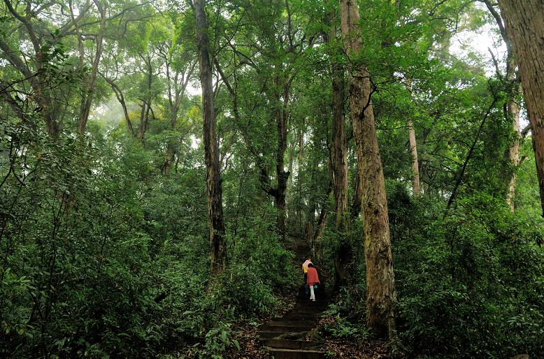 中国绿都最氧三明,中国绿都最氧三明春回大地
