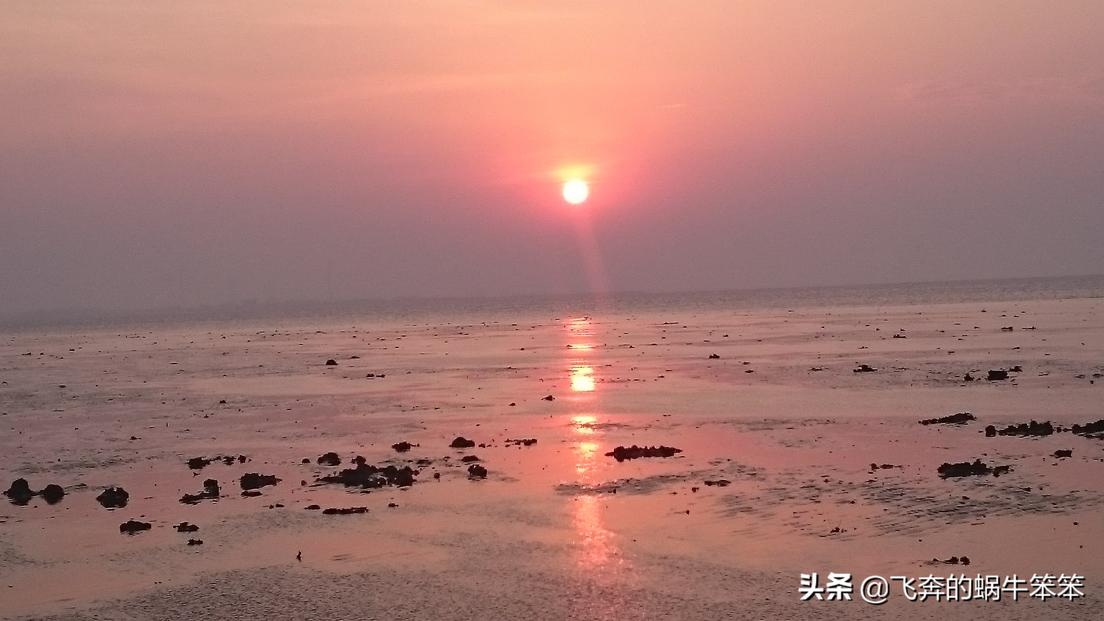 乐亭月岛赶海攻略,赶海看日出