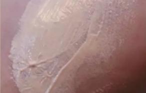 粉底液排行榜终于出炉了！