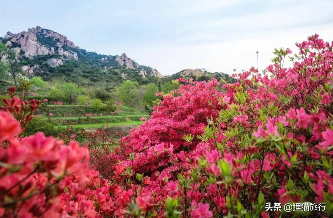 五莲山九仙山为什么有名,五莲九仙山孙膑书院的传说