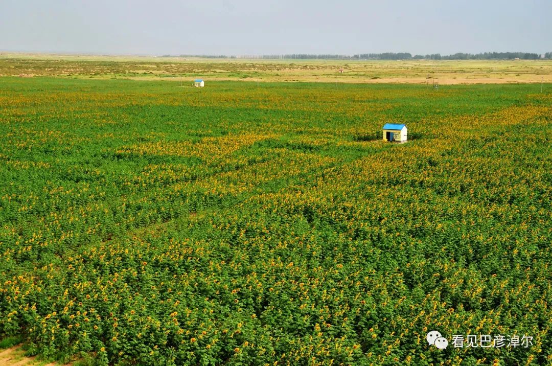 来认识一个不一样的我翻译,来认识不一样的滑雪