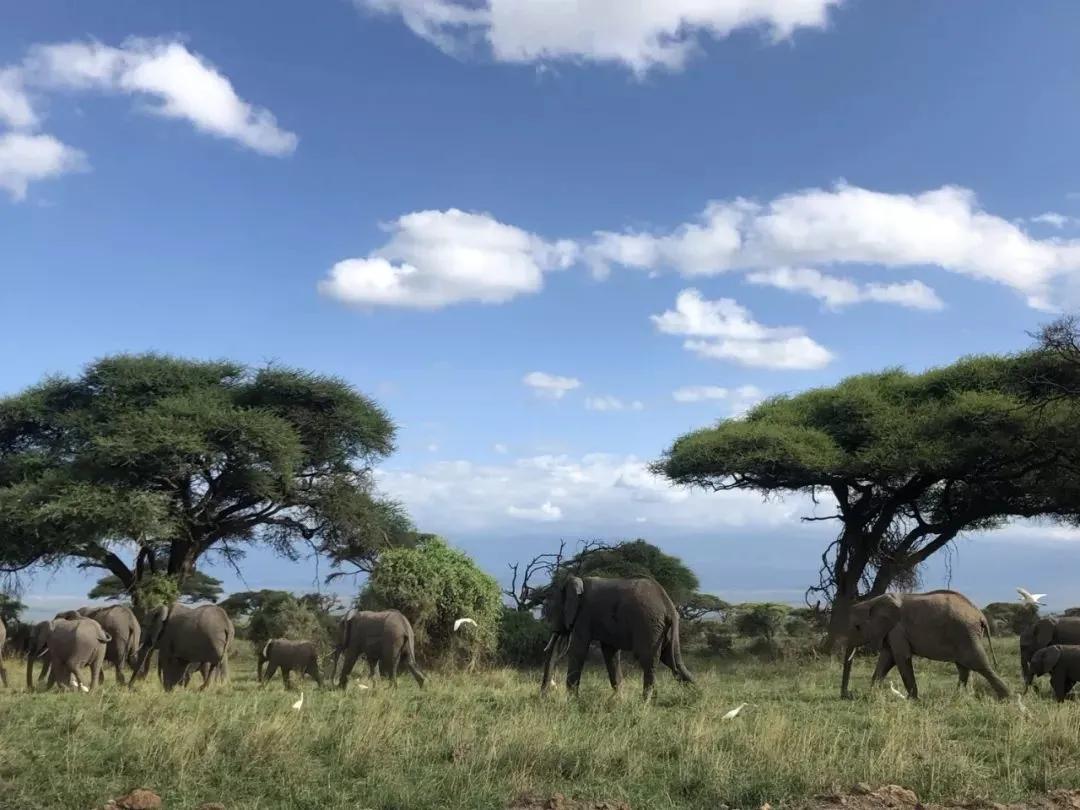 中国路桥集团在肯尼亚,中国外建肯尼亚路桥工程