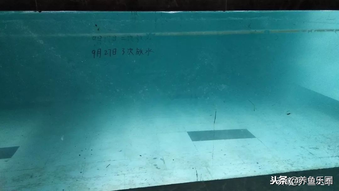 这位土豪家的渔场，光滤材就花了500多万，你确定不要见识一下？