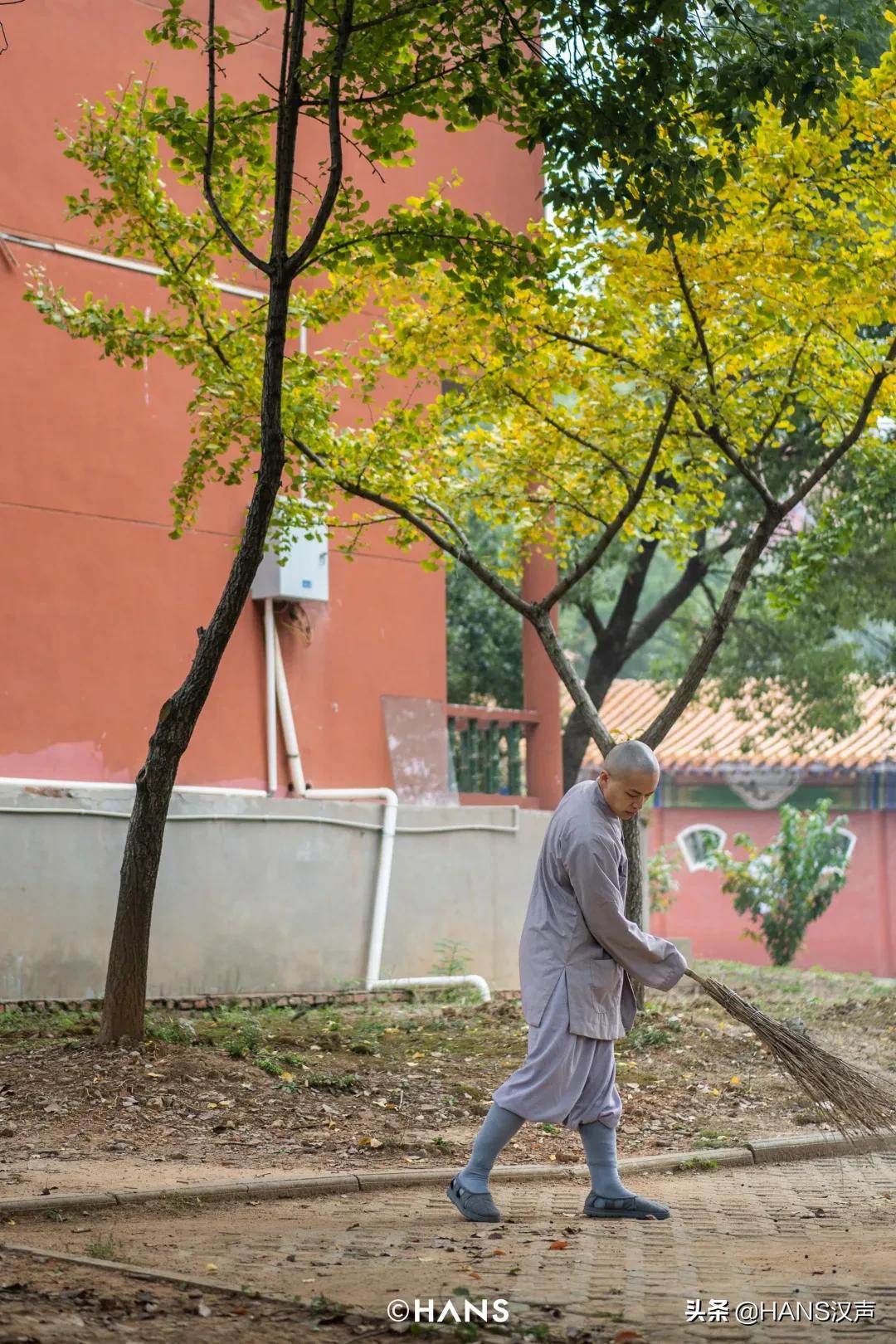抖音网红为什么出家,灵泉寺武汉短期出家