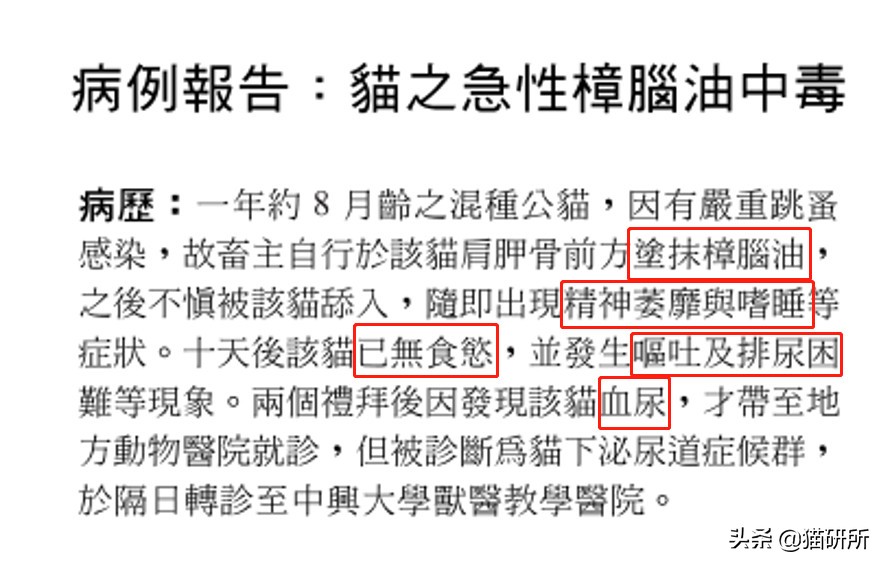 猫咪弓形虫对猫的危害,猫奴弓形虫