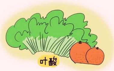 备孕和怀孕期间女性如何补充叶酸,备孕期食补叶酸还是直接吃叶酸好