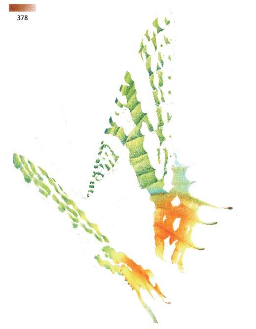 3d错觉画教程,3d错觉画作品