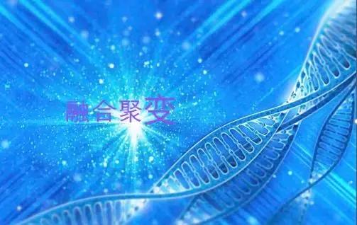 中国汽车后市场发展六大趋势预测,聚汽观察