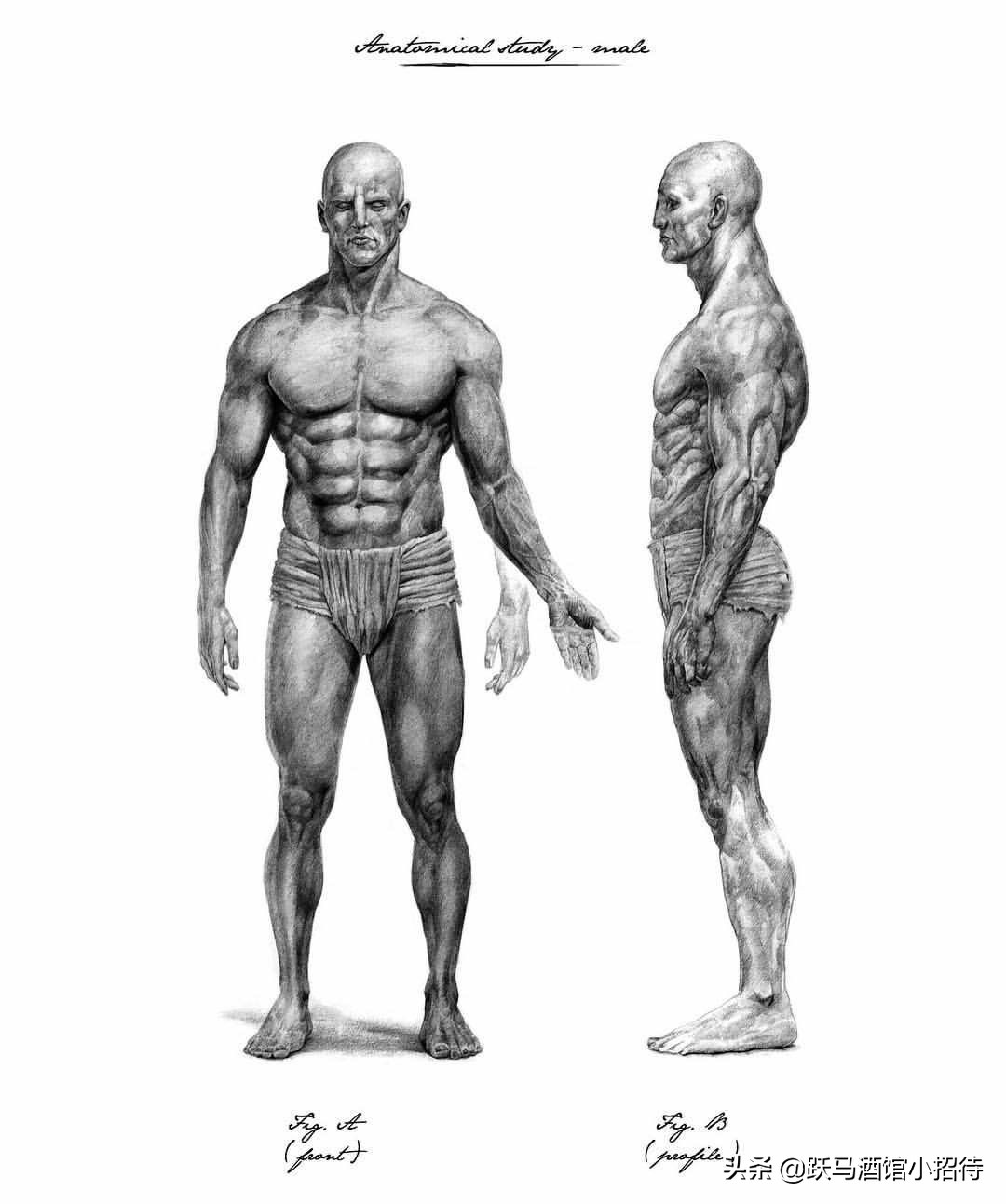 异形是大卫创造的吗,异形大卫的实验室原版