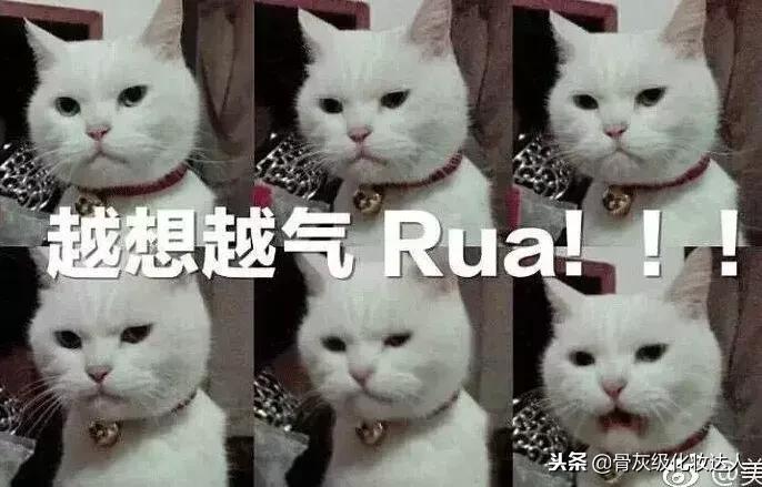 拔草清单|看看是哪些不好用的家伙伤害了我的钱包!