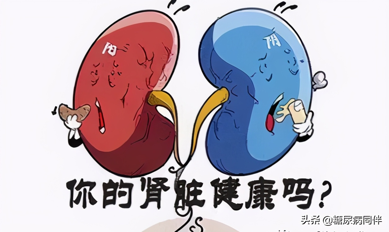 糖尿病新指南2023,糖尿病新指南血糖控制指标