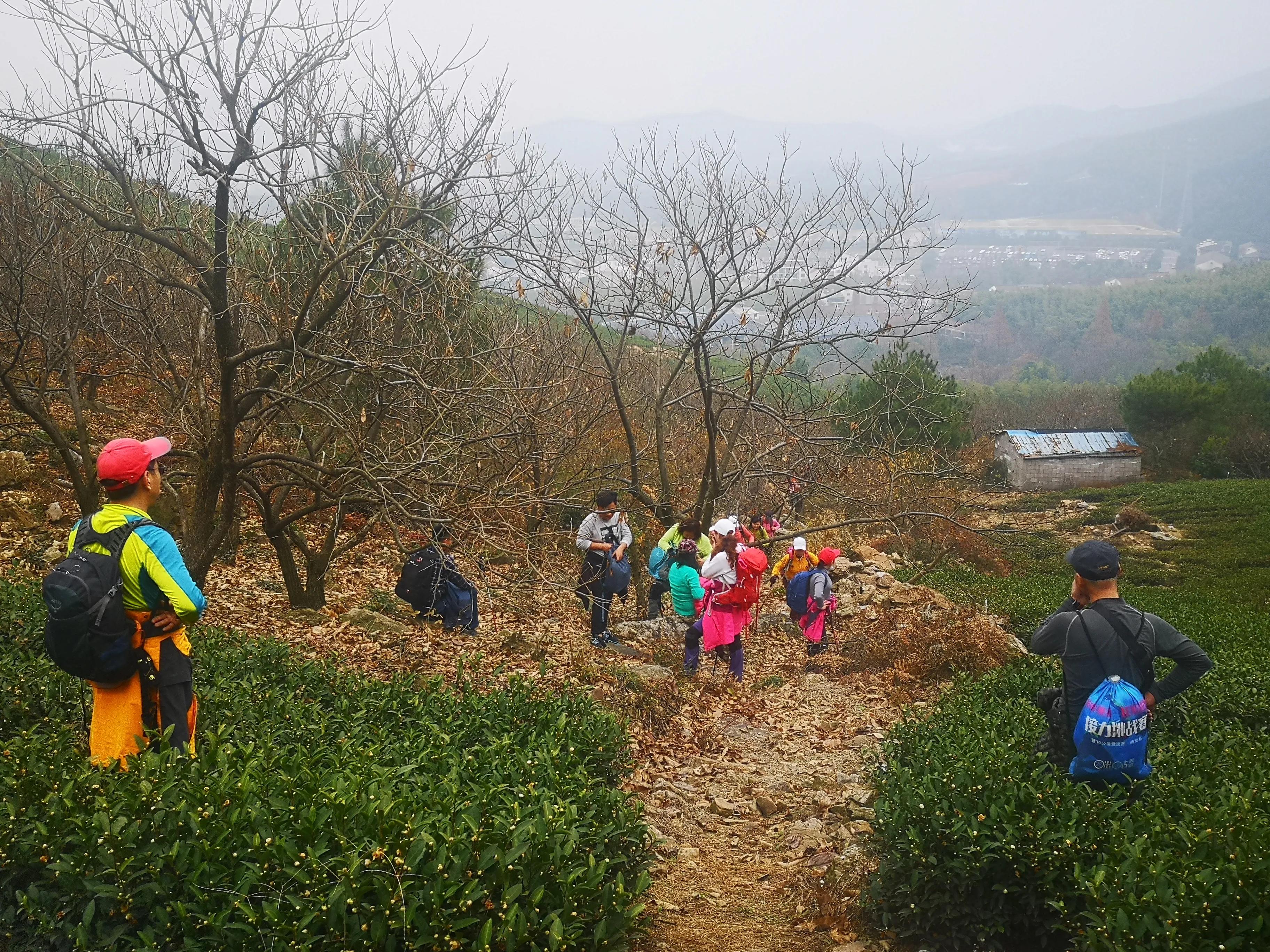 溧阳南山竹海小鸟天堂,宜兴南山竹海和溧阳南山竹海