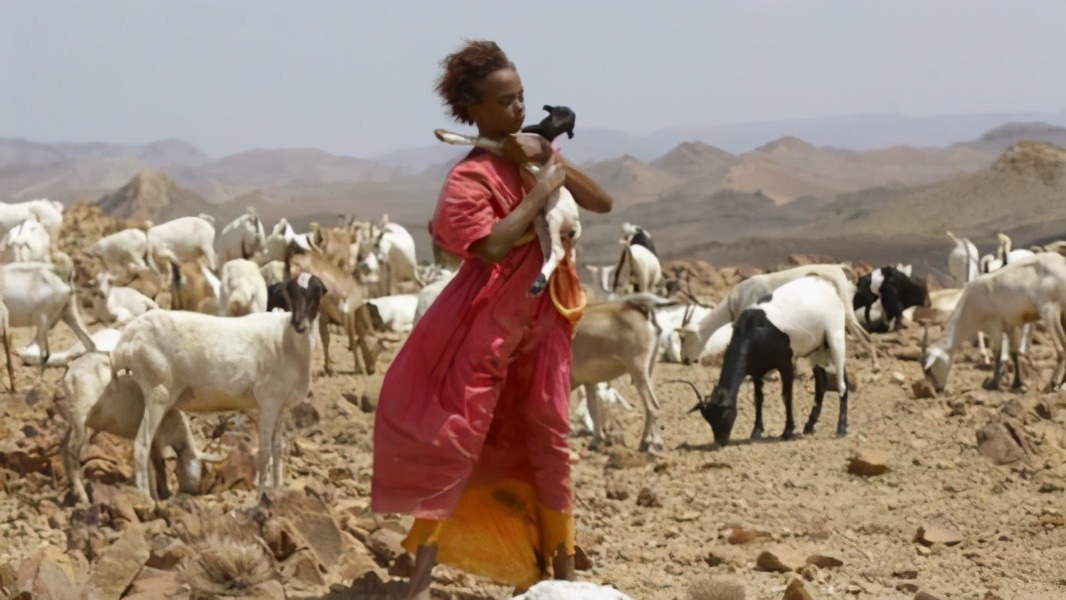 “割礼”惨无人寰的陋习,*害迫**着女性身体,震撼人心《沙漠之花》