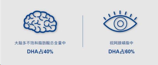 宝妈怎么补dha,补充脑营养选择dha