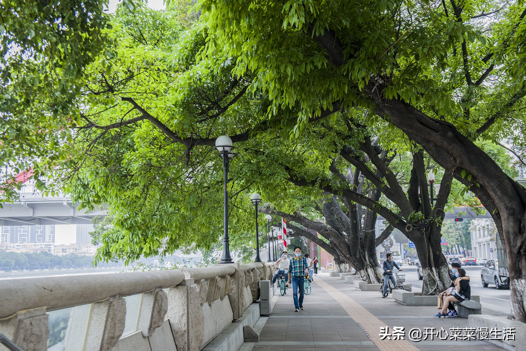 广州最高的三座建筑,广州珠江边上高楼