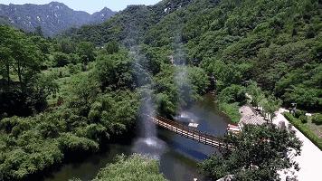 只吃饭不想洗碗？moyori魔力清洁豆豆擦，油腻腻的锅碗盆一抹即净