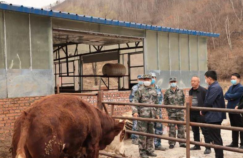 对话3位村支书,将军都说了些啥?