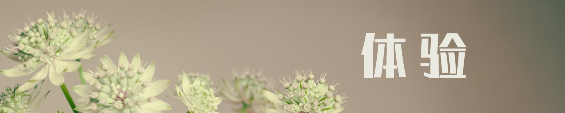 省电石墨烯取暖器油汀,油汀取暖器家用超级节能省电