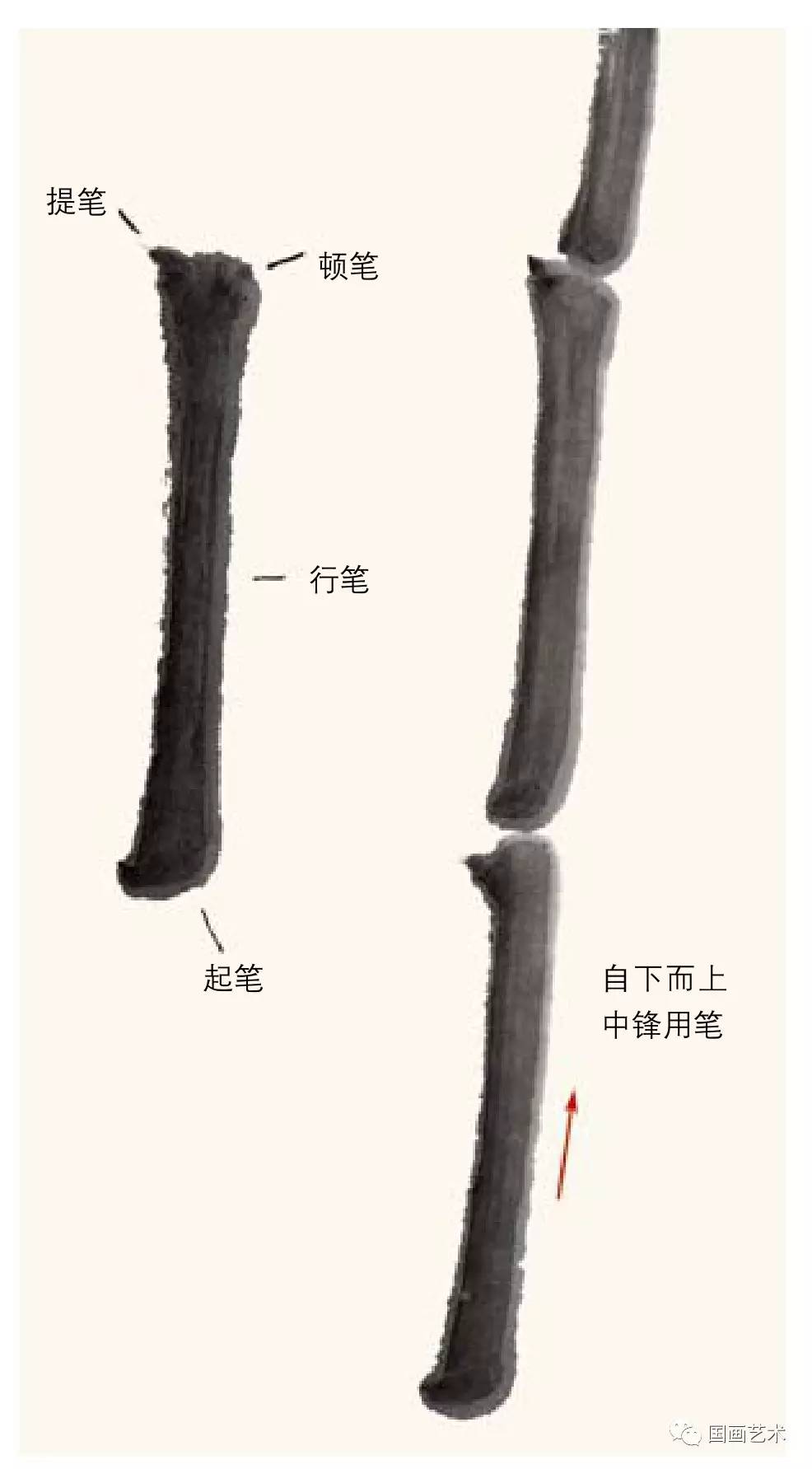 历代画竹名家名单,初学画竹子入门毛笔
