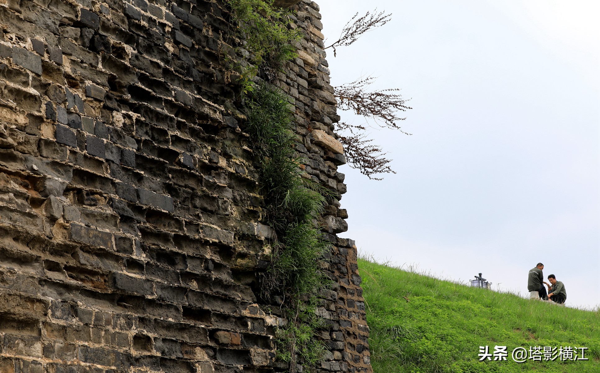 月是故乡明向我们展现了什么,月是故乡明游子思完整版