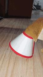 山海经中以乳为目以脐为口的怪物,山海经搞笑图片