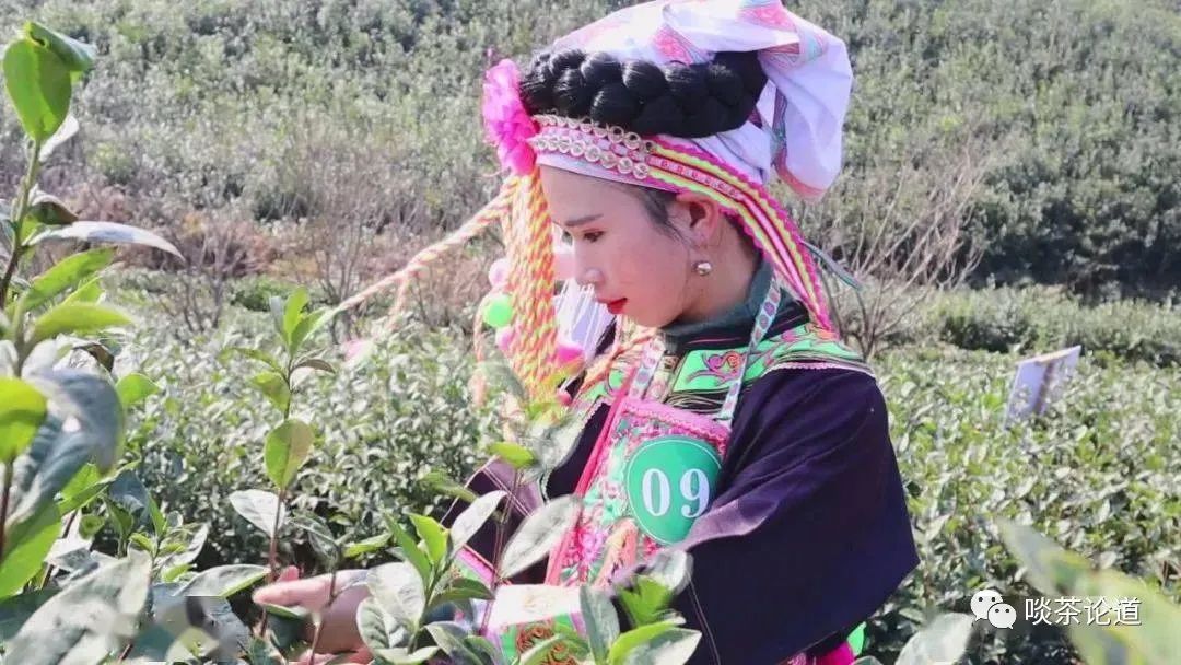 现在上市的新茶值得买吗,现在上市的新茶有哪几种
