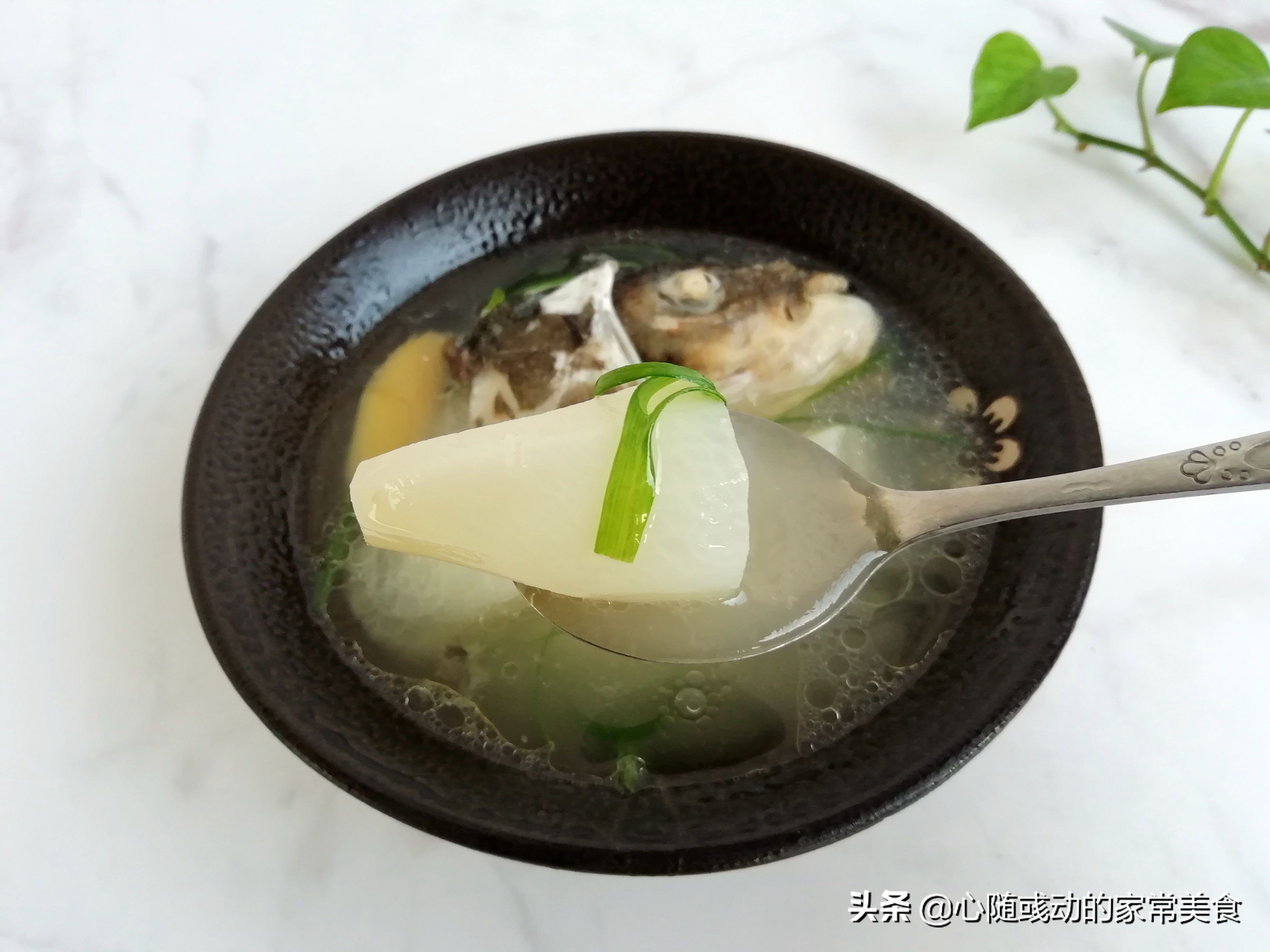 萝卜煮鱼头汤的正确做法,鱼头可以和萝卜一起炖吗