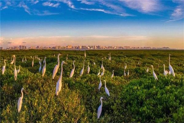 旅居生活如何既便宜又适宜,旅居必须做的10件事