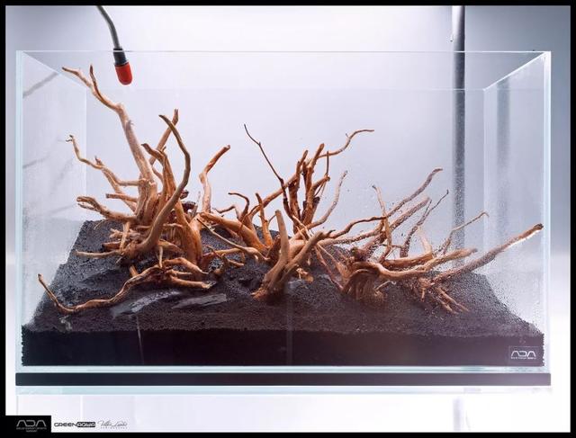 ada风格造景用什么底砂,鱼缸造景ada风格