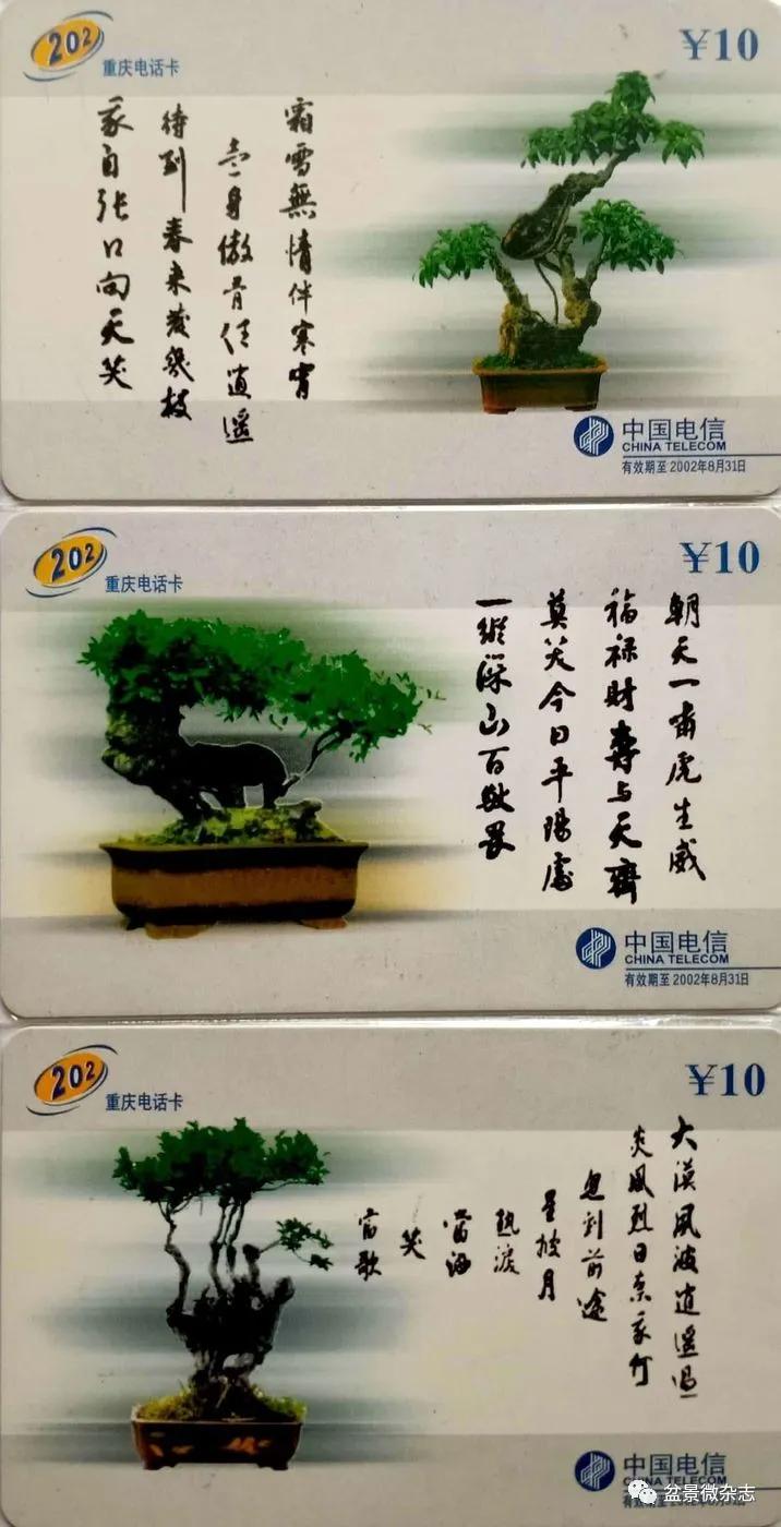 鐩嗘櫙鑱旂郴鐢佃瘽鍙风爜,涓鐩嗘櫙鑱旂郴鏂瑰紡