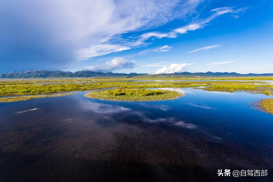 鑻ュ皵鐩栧ぇ鑽夊師杩樻湁娌℃湁婀垮湴,鑻ュ皵鐩栨箍鍦伴粍娌崇殑澶ц嚧璧板悜