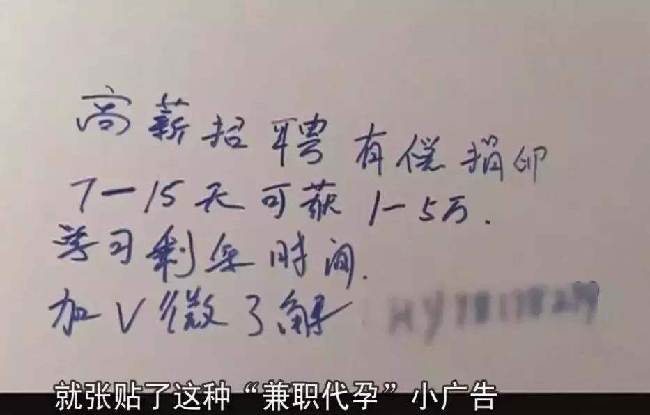 老公和婆婆背着儿媳，被“租子宫包生儿子”小广告骗了85万！活该