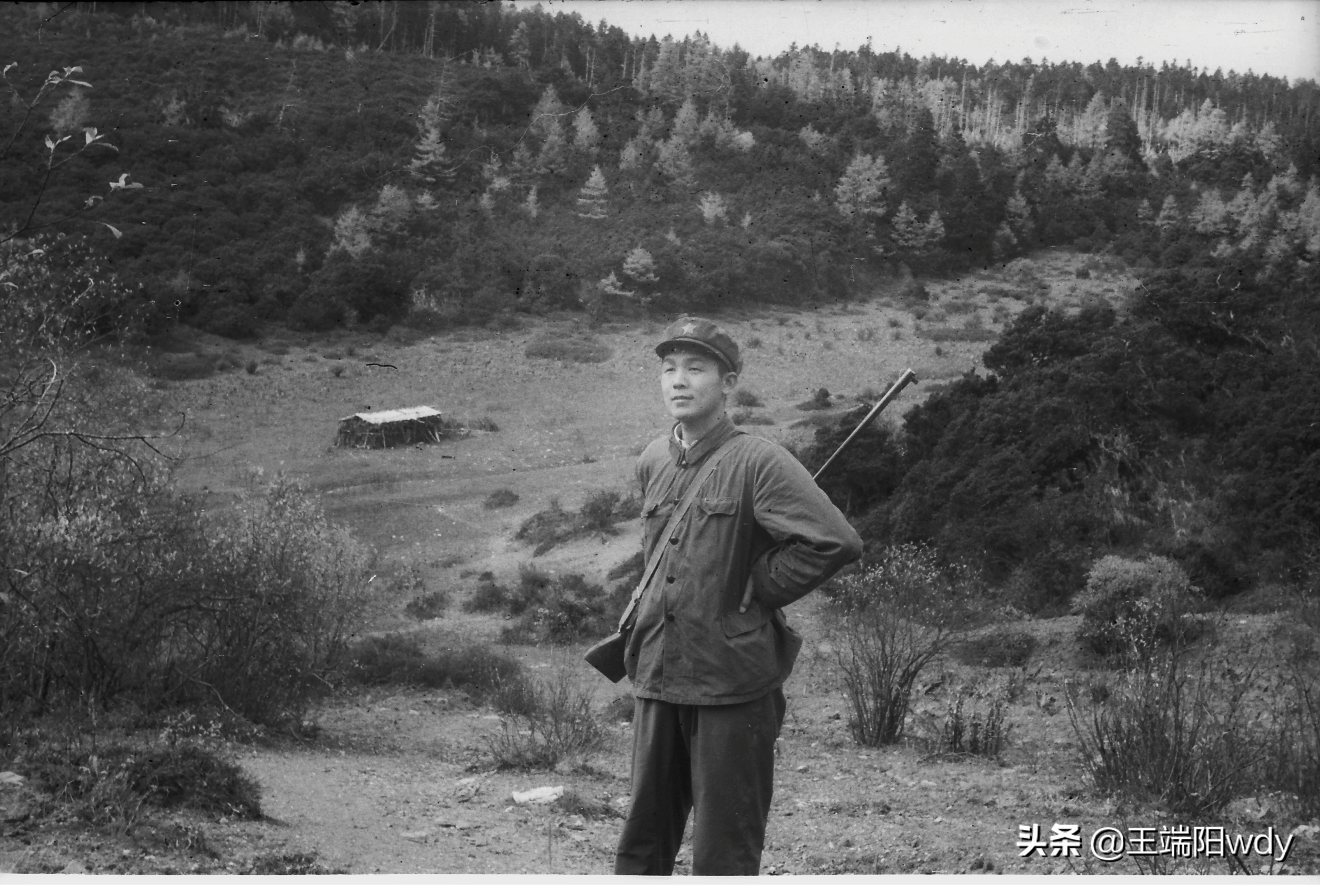 香格里拉最老的酥油茶 (香格里拉酥油茶图片)