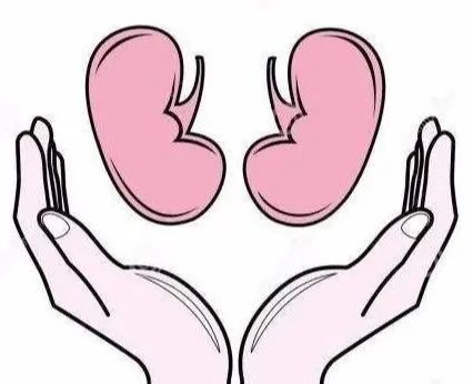 药物对肾脏损害怎么补救,药物导致的肾损伤怎么治疗