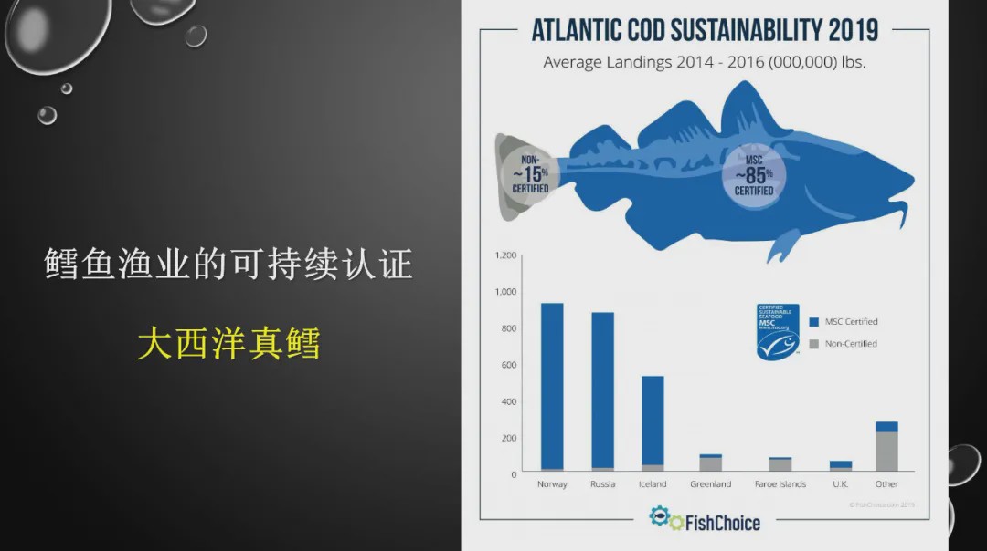 樊哥说中国美食,樊哥讲冰鲜生鲜