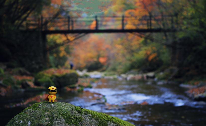 9月国内最美的10个最佳旅行地推荐,金秋十月寻找最美旅行地